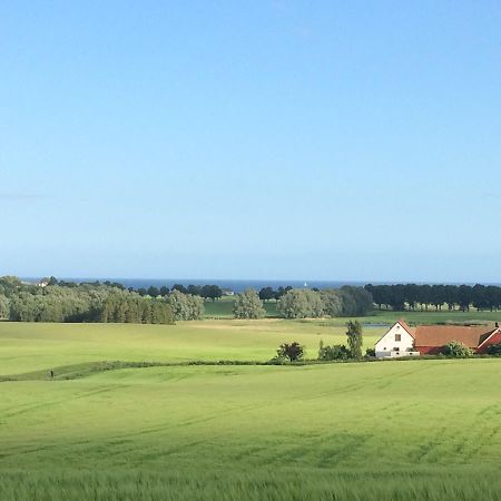 Garden Mellan Slotten Svarte Exteriér fotografie