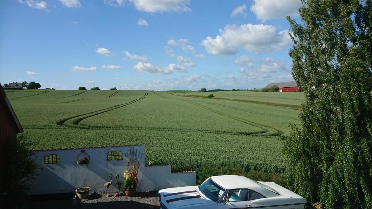 Garden Mellan Slotten Svarte Exteriér fotografie
