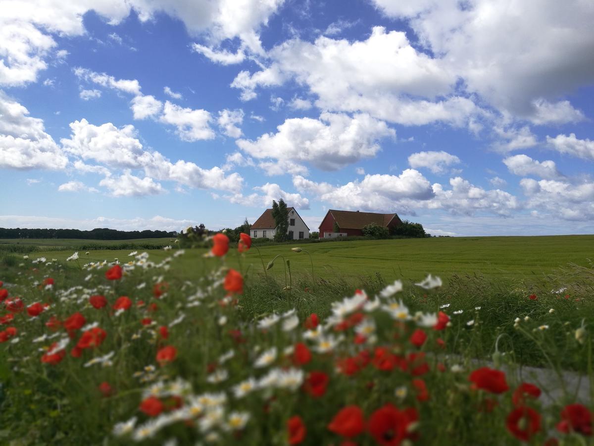 Garden Mellan Slotten Svarte Exteriér fotografie