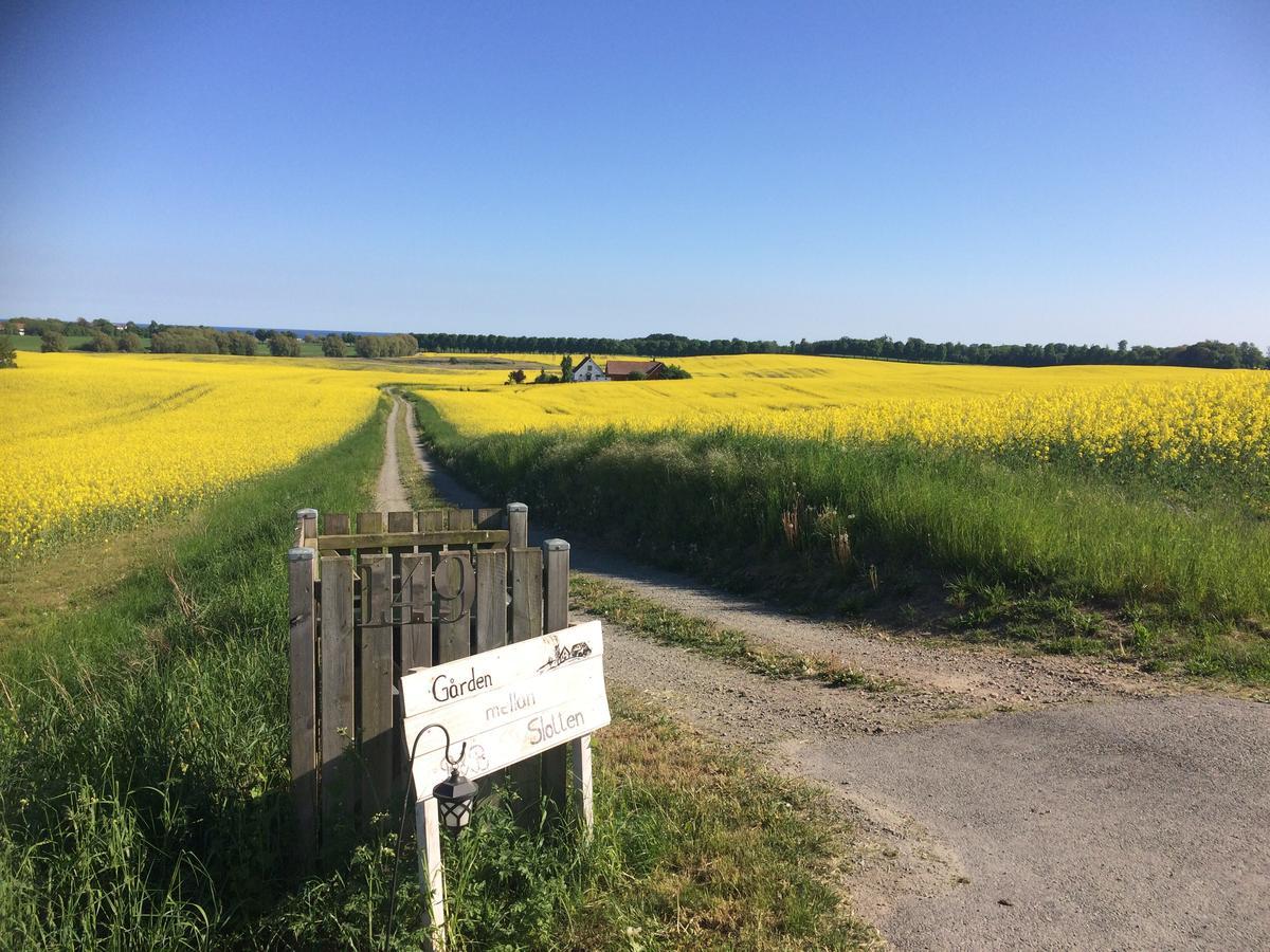 Garden Mellan Slotten Svarte Exteriér fotografie