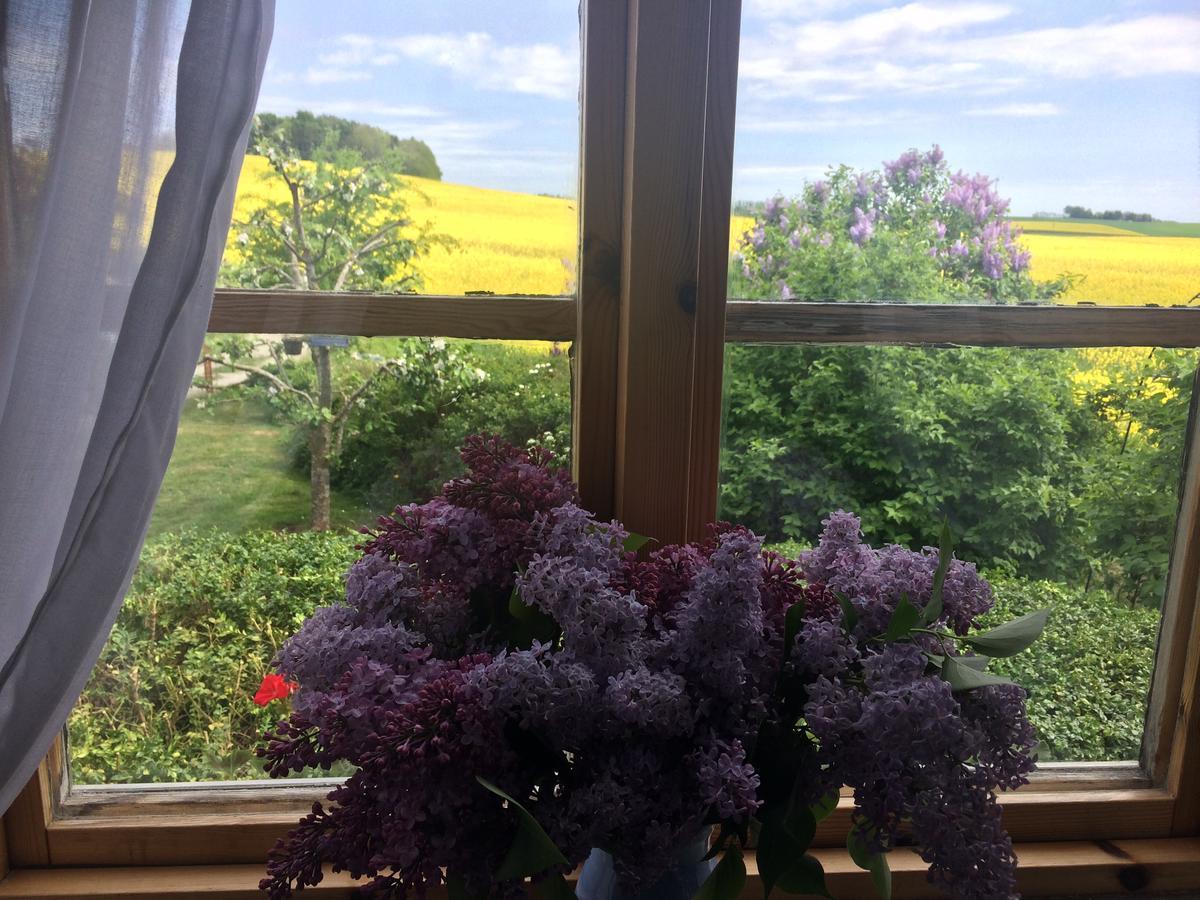 Garden Mellan Slotten Svarte Exteriér fotografie