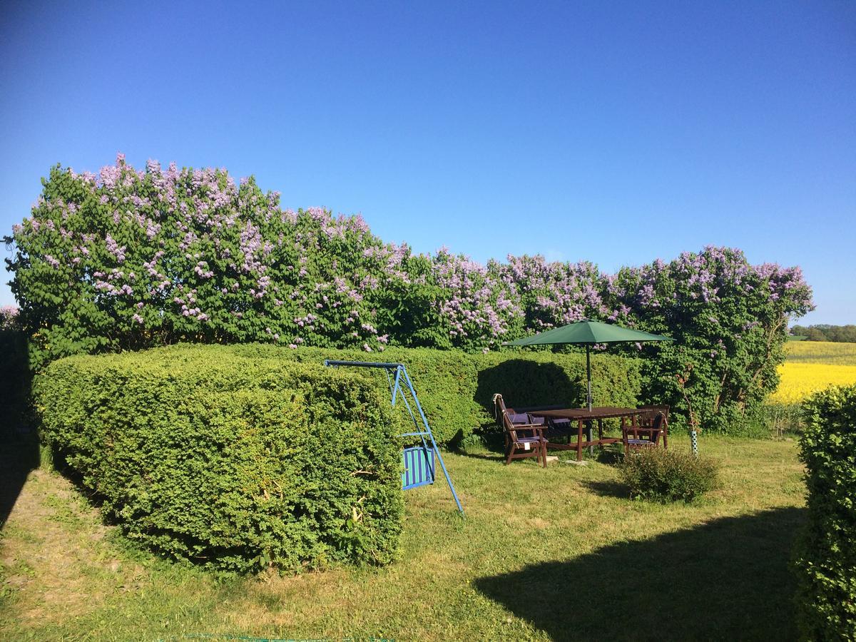 Garden Mellan Slotten Svarte Exteriér fotografie